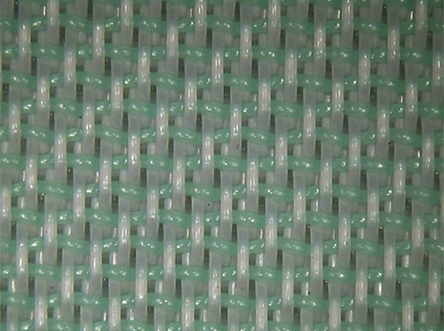 ֽ